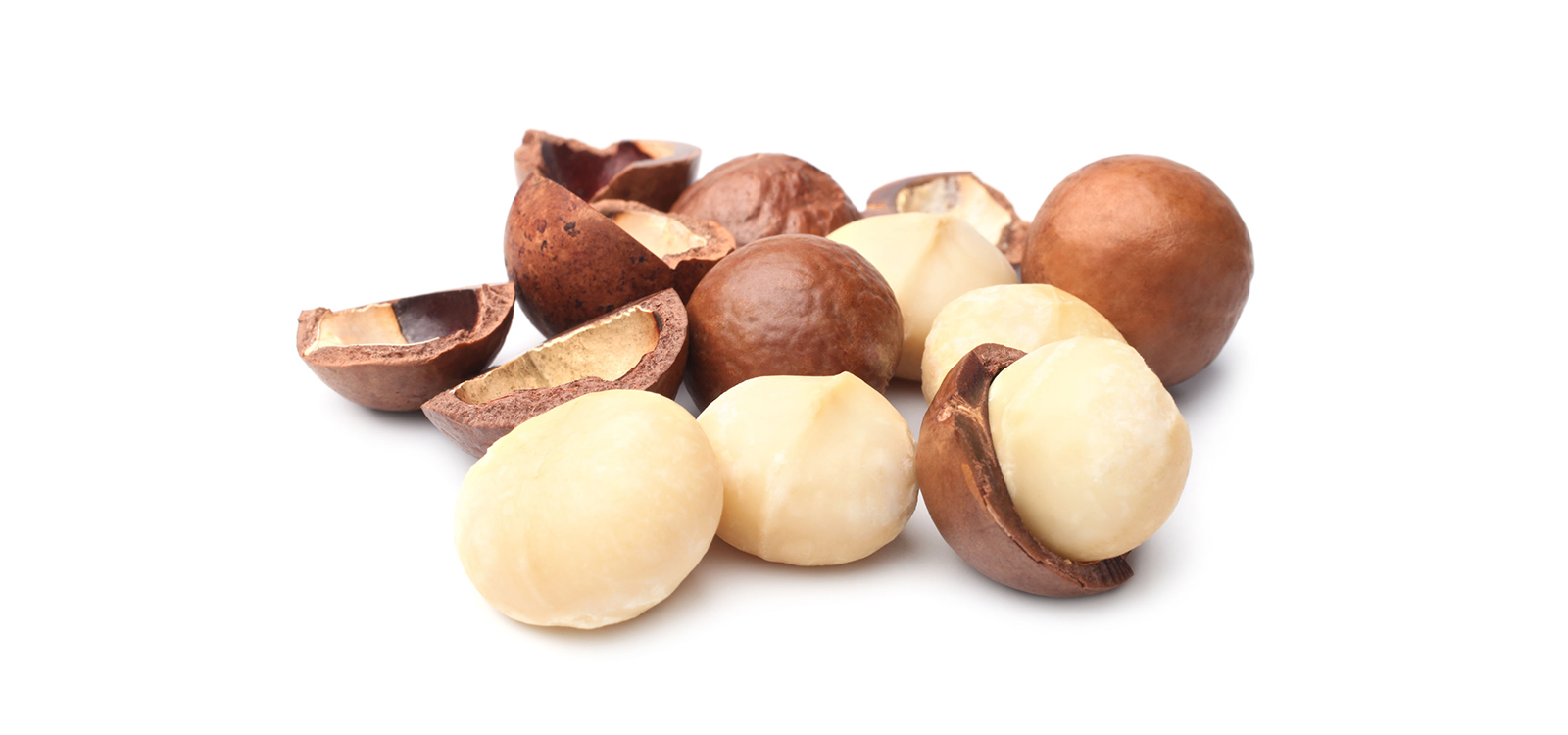 Macadamia Kernel